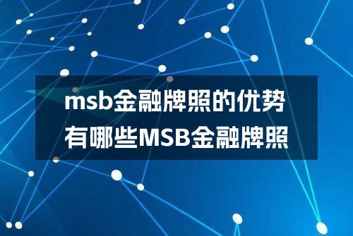 msb金融牌照的优势有哪些？(MSB金融牌照)