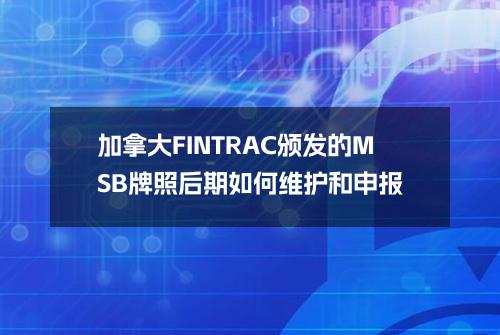 加拿大FINTRAC颁发的MSB牌照后期如何维护和申报？