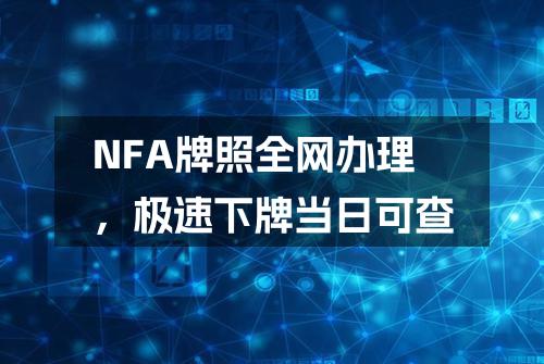 NFA牌照全网办理，极速下牌当日可查