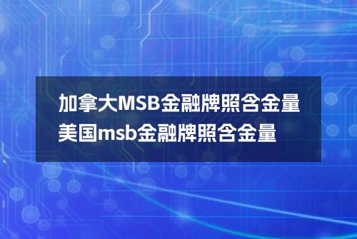 加拿大MSB金融牌照含金量(美国msb金融牌照含金量)